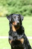 BEAUCERON 847